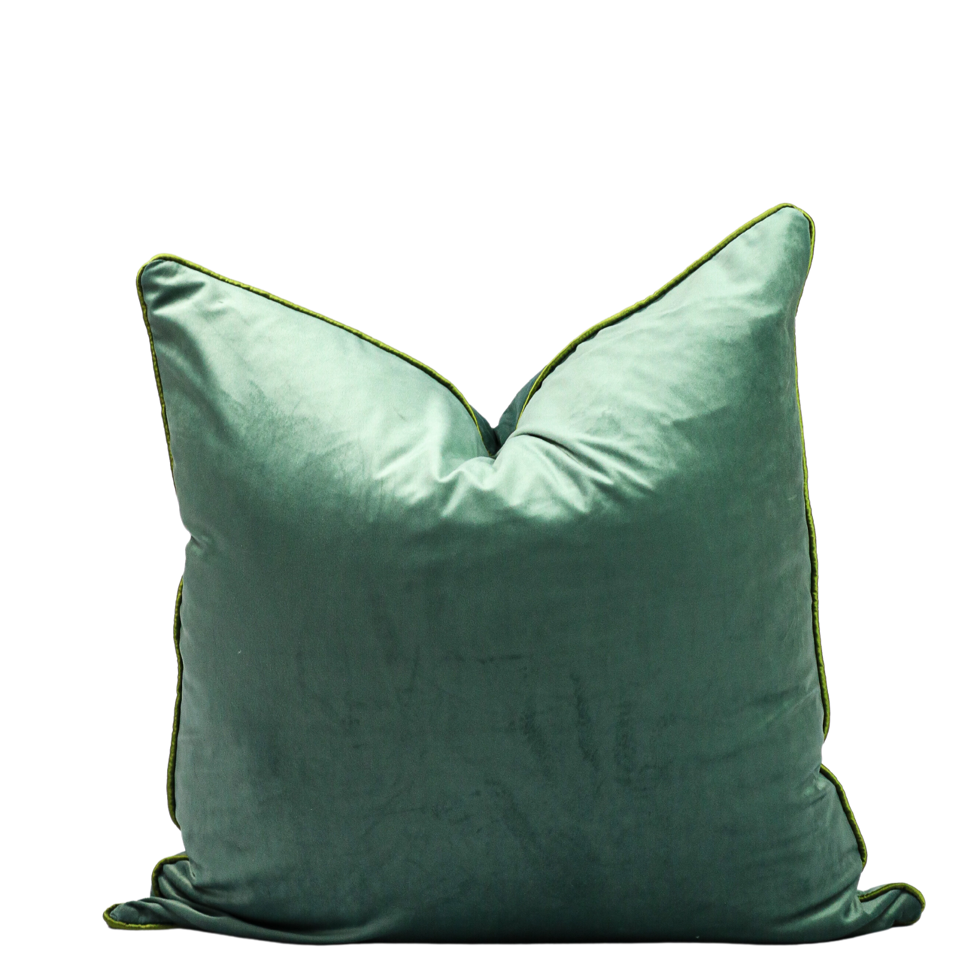 Erica Scatter cushion 60cm x 60cm