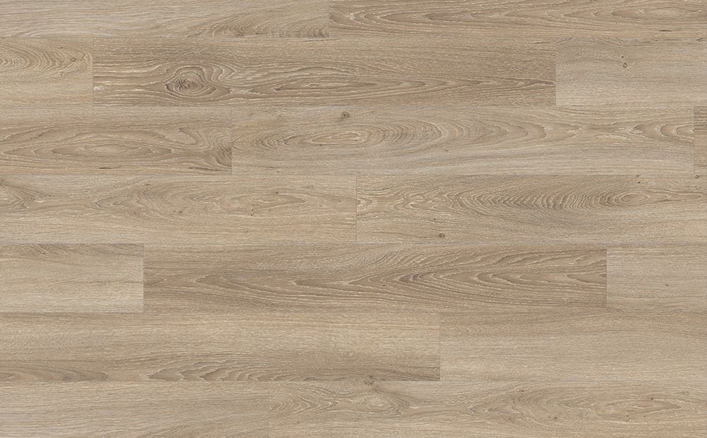 Amiens Oak light