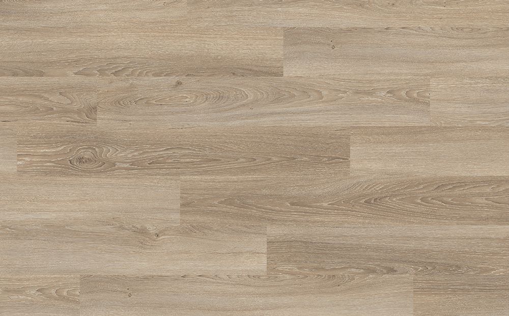 Amiens Oak light
