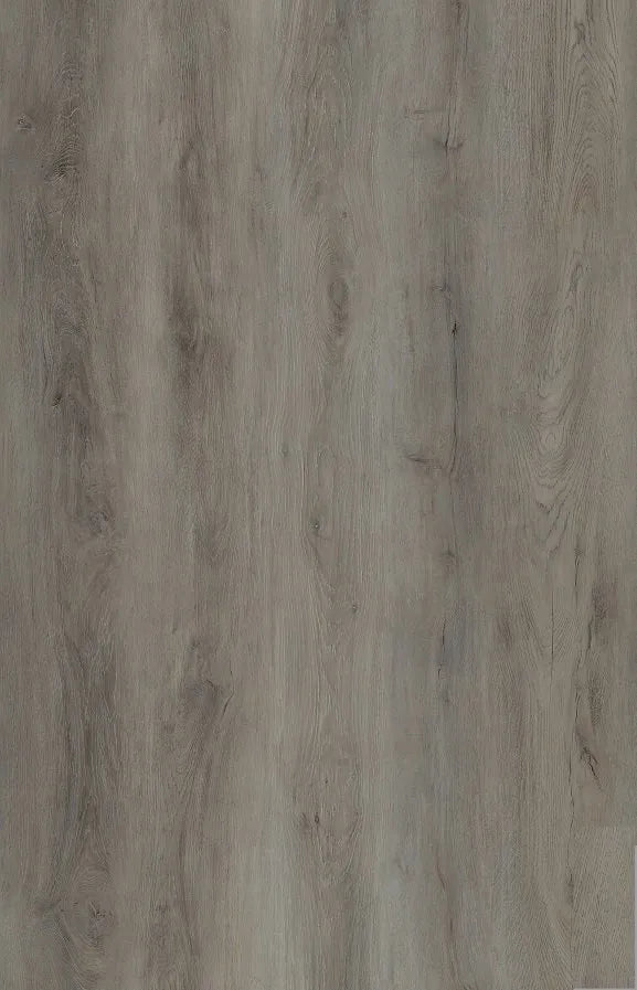 Oyster Oak