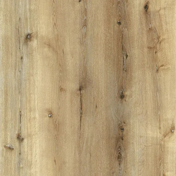 Calonial Oak