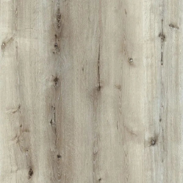 Caspian Oak