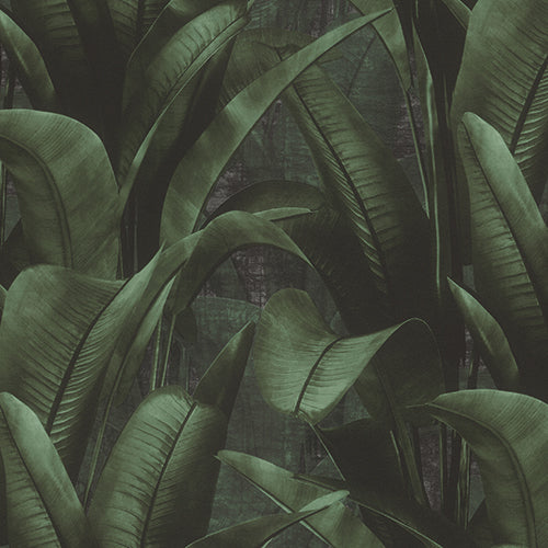 Manilla Wallpaper Night Garden